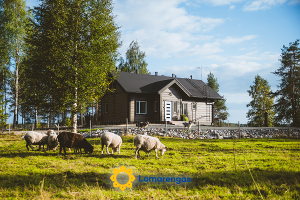 Villa lystikämä – Rovaniemi – Lappi