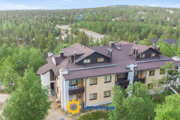 Lomariekko 6 a 4 pikkuriekko – Inari – Lappi