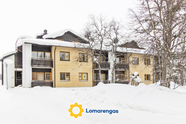 Lomariekko 6 a 6 lumiriekko – Inari – Lappi