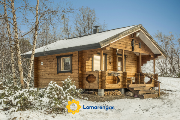 Pikkupöllö – Enontekiö – Lappi