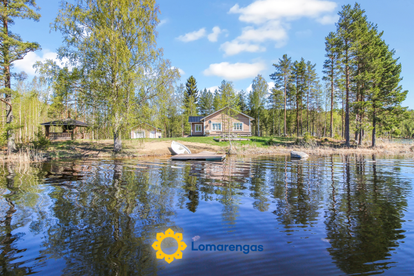 Villa niemi – Leppävirta – Pohjois-Savo