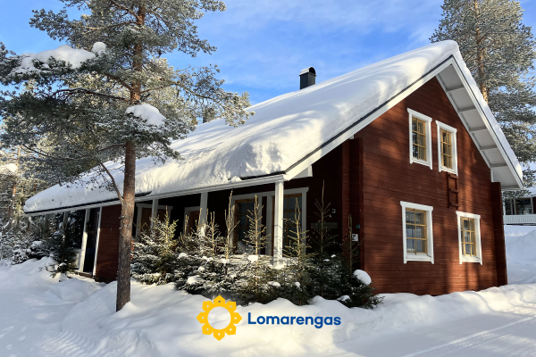 Villa metso – Rovaniemi – Lappi