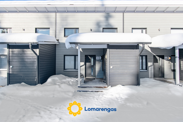 Skivillas 78 ukkohalla (2) – Hyrynsalmi – Kainuu